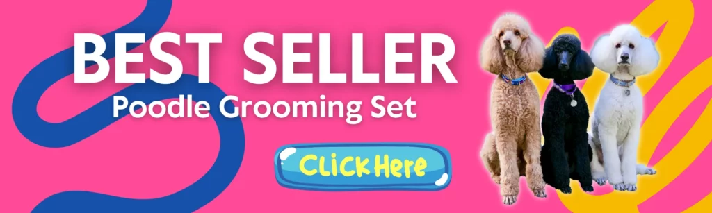 Promotional banner featuring three poodles in varying shades beside the text "best seller poodle grooming set" with a clickable button that says "click here," set against a pink and blue background.